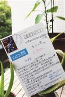【筆耕逾甲子系列2】傳達公民參與