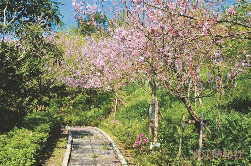 Weclome！精彩生活在淡江－蘭陽校園