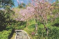 Weclome！精彩生活在淡江－蘭陽校園