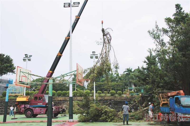 預警封步道 即時啟動防颱