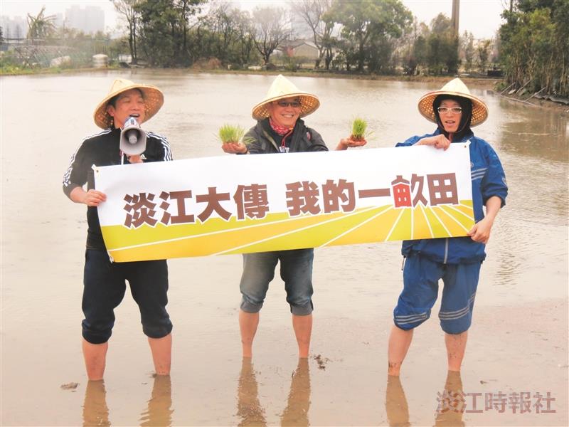 上月25日，大傳系認養桃園區大溪稻農王連寶的稻田，系上師生和校友現場體驗春耕插秧，大傳系6生將結合畢業製作方式，行銷「我的一畝田」理念，推廣臺灣米的美好。（圖／大傳系提供）