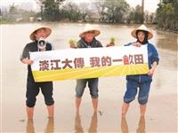 上月25日，大傳系認養桃園區大溪稻農王連寶的稻田，系上師生和校友現場體驗春耕插秧，大傳系6生將結合畢業製作方式，行銷「我的一畝田」理念，推廣臺灣米的美好。（圖／大傳系提供）