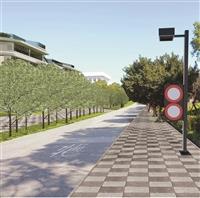 驚聲路改人車分道 守謙進度85%