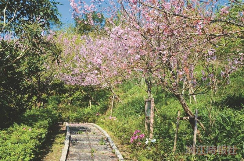 蘭陽校園