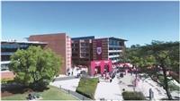 西雪梨大學