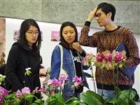 68週年校慶蘭花展 萬代蘭贏得總冠軍