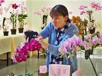 68週年校慶蘭花展  萬代蘭贏得總冠軍