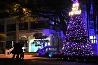 2018淡江校園燈飾