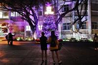 2018淡江校園燈飾