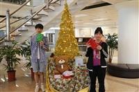 圖書館辦「聖誕驚喜：美妙的相遇」
