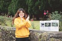 總務處籲禁餵流浪貓犬