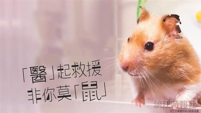 專業知能服務學習十年有成