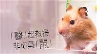 專業知能服務學習十年有成