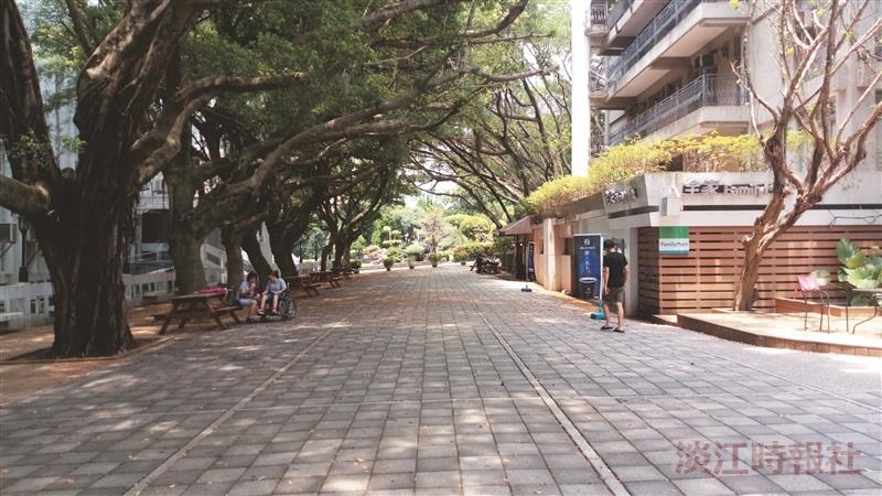 淡水校園景觀