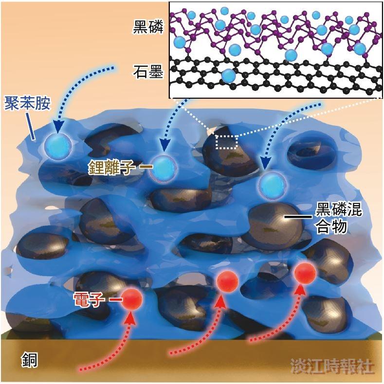 莊程豪國際合作論文刊載於Science期刊