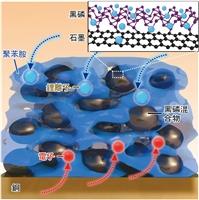莊程豪國際合作論文刊載於Science期刊