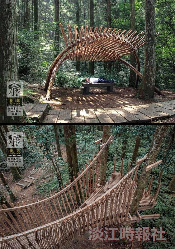 建築系師生森林木十人獲2020臺北設計獎優選