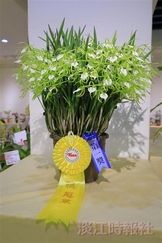 校慶蘭花展