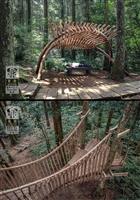 建築系師生森林木十人獲2020臺北設計獎優選
