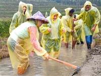 USR結合社區服務學習 石門嵩山社區協助翻土