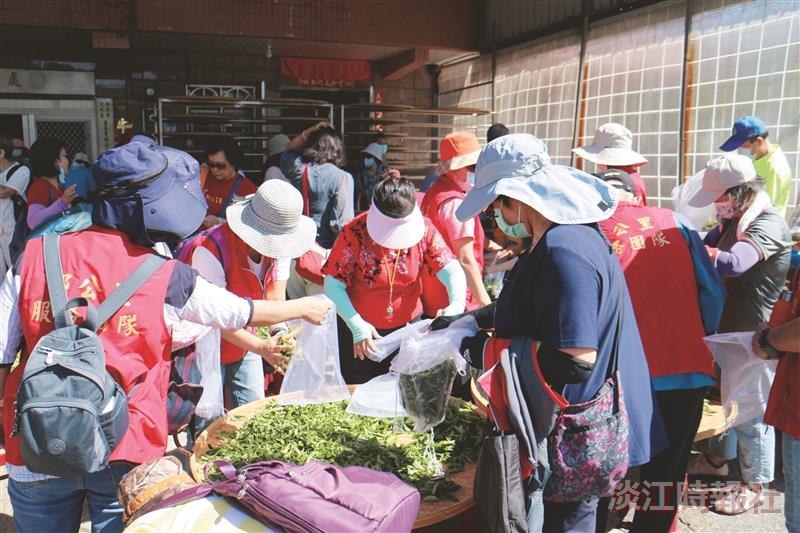 黃一峯推動USR 帶鄧公里志工採茶趣