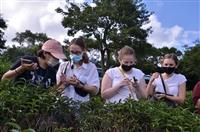 青銀共學　國際生與正德里民共享採茶樂
