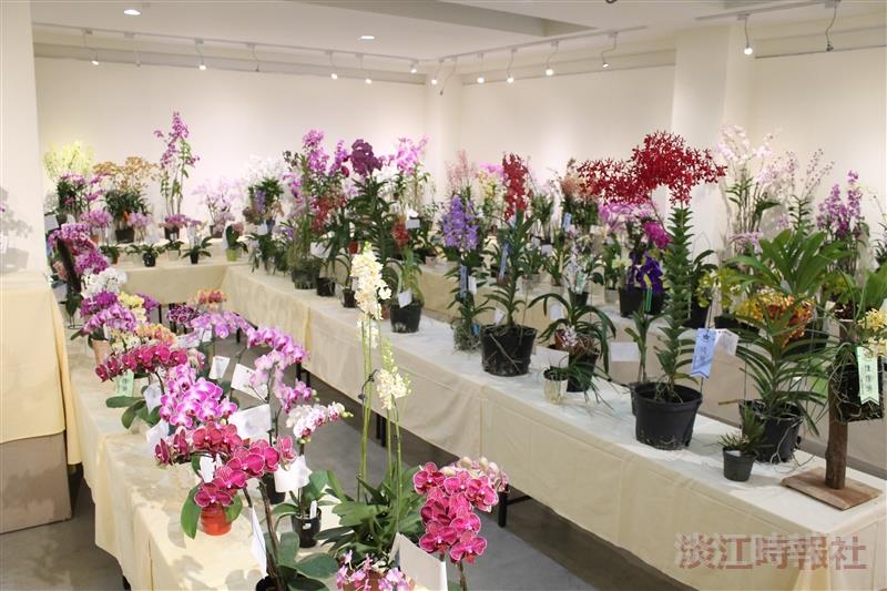 校慶蘭花展