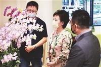 校慶蘭花展