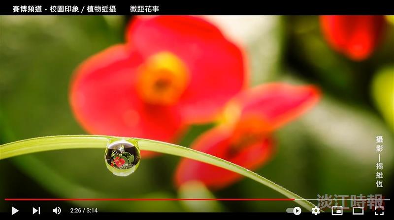 花間一壺酒 花心一點蜜 賽博頻道帶你覽遍淡江花心事
