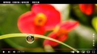 花間一壺酒 花心一點蜜 賽博頻道帶你覽遍淡江花心事
