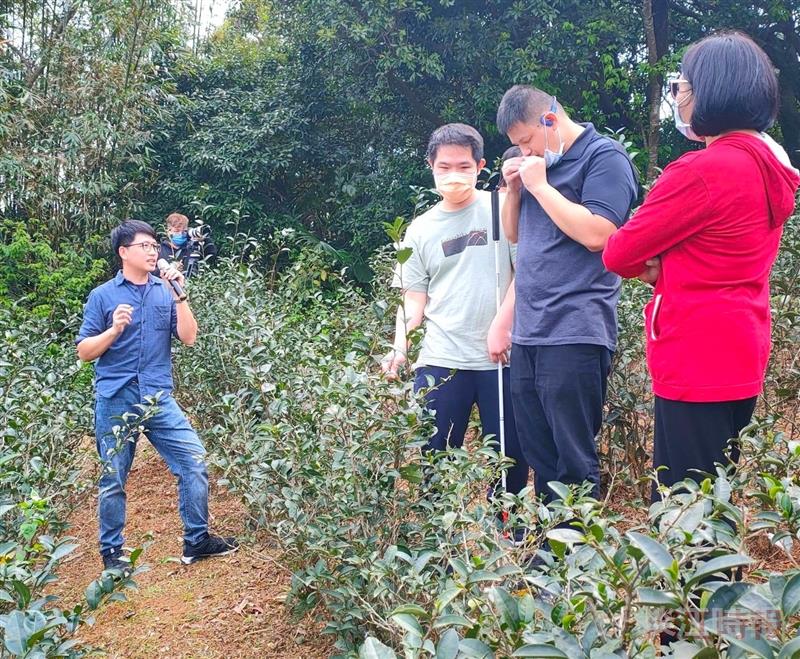 視障中心x農情食課 採茶製茶鮮體驗