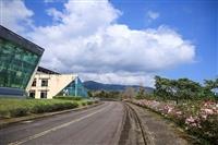 蘭陽校園杜鵑花開