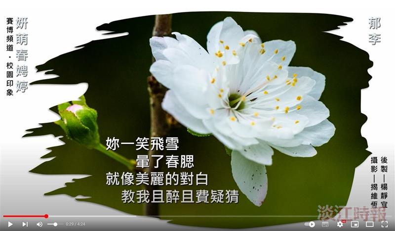 群芳爭報淡江春 賽博頻道邀你校園賞花