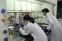 理學院科學營