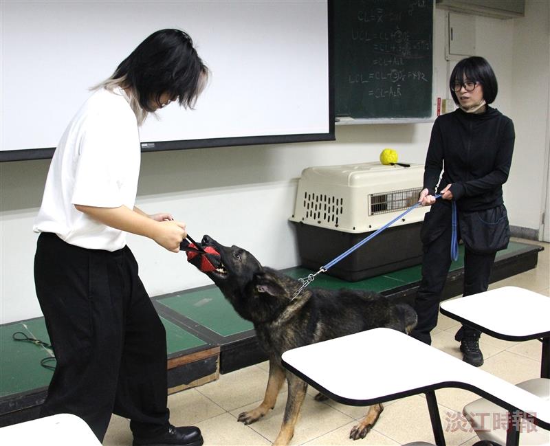 關懷動物社邀請鐶球警犬學校沈怡君教練分享訓犬經歷