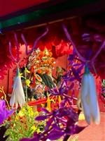 本校教職同仁參與淡水祖師爺遶境