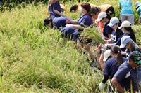 山海探險家：北海岸跨校與臺日國際USR交流夏令營