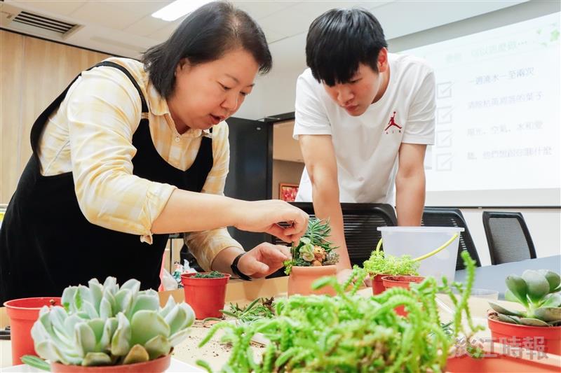 園藝即興對話