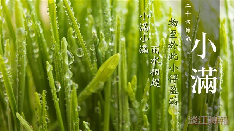 【賽博之窗】雨潤風和新苗漸長 賽博帶你邂逅生機盎然的小滿