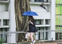 臺灣藍鵲