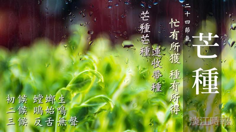 五月梅雨潤萬象 賽博帶你體會芒種的歡欣收穫與揮汗播種