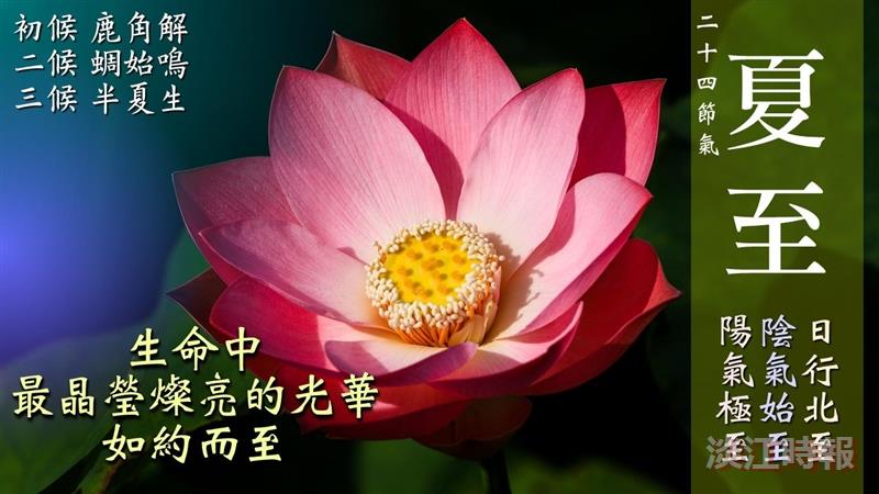 晝長夜短 眾生豐茂萬物榮 賽博頻道帶您一覽盛夏風景