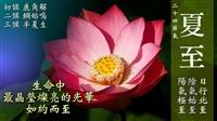 晝長夜短 眾生豐茂萬物榮 賽博頻道帶您一覽盛夏風景