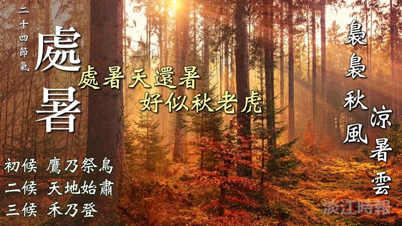 涼秋未至，暑韻猶存 賽博頻道帶你感受處暑面貌