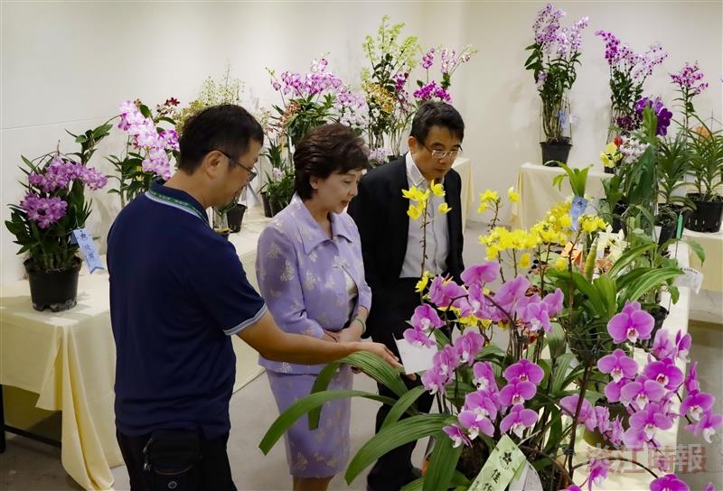 校慶蘭花展 品韻聞香賞綠意