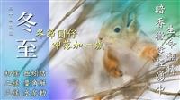 夜臨日不遠 雪落春已近 賽博伴你暖度冬至