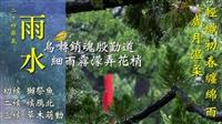 玉指引清囀 流光眄蒼穹 賽博帶你共賞雨水降人間