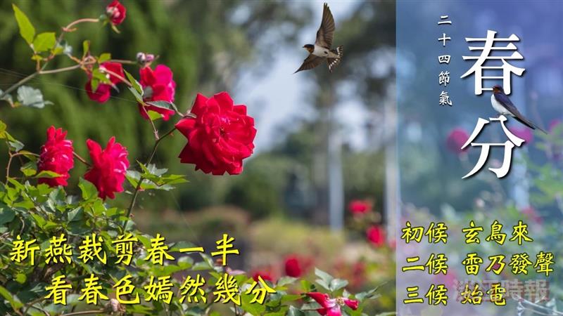 春日春夜春花開 春風春雨春無相 賽博頻道伴你體會春分的多重春色