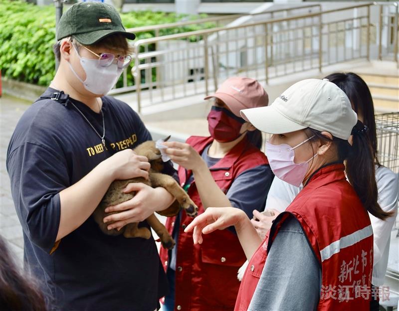 淡江動物週X浪浪認養會
