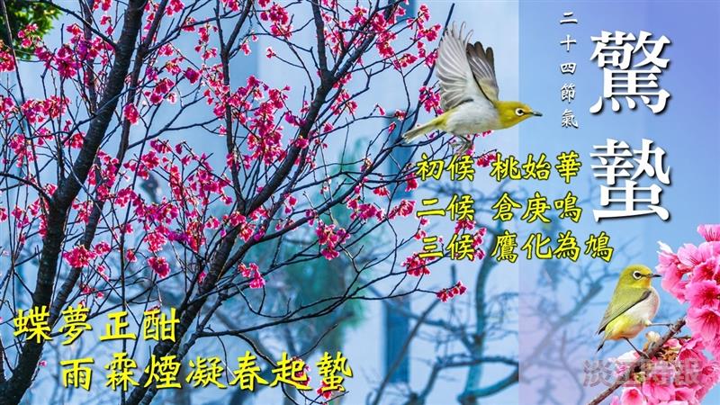 春雷一響驚蟄臨 春雨遍灑陌色新 賽博伴你共賞春之饗宴